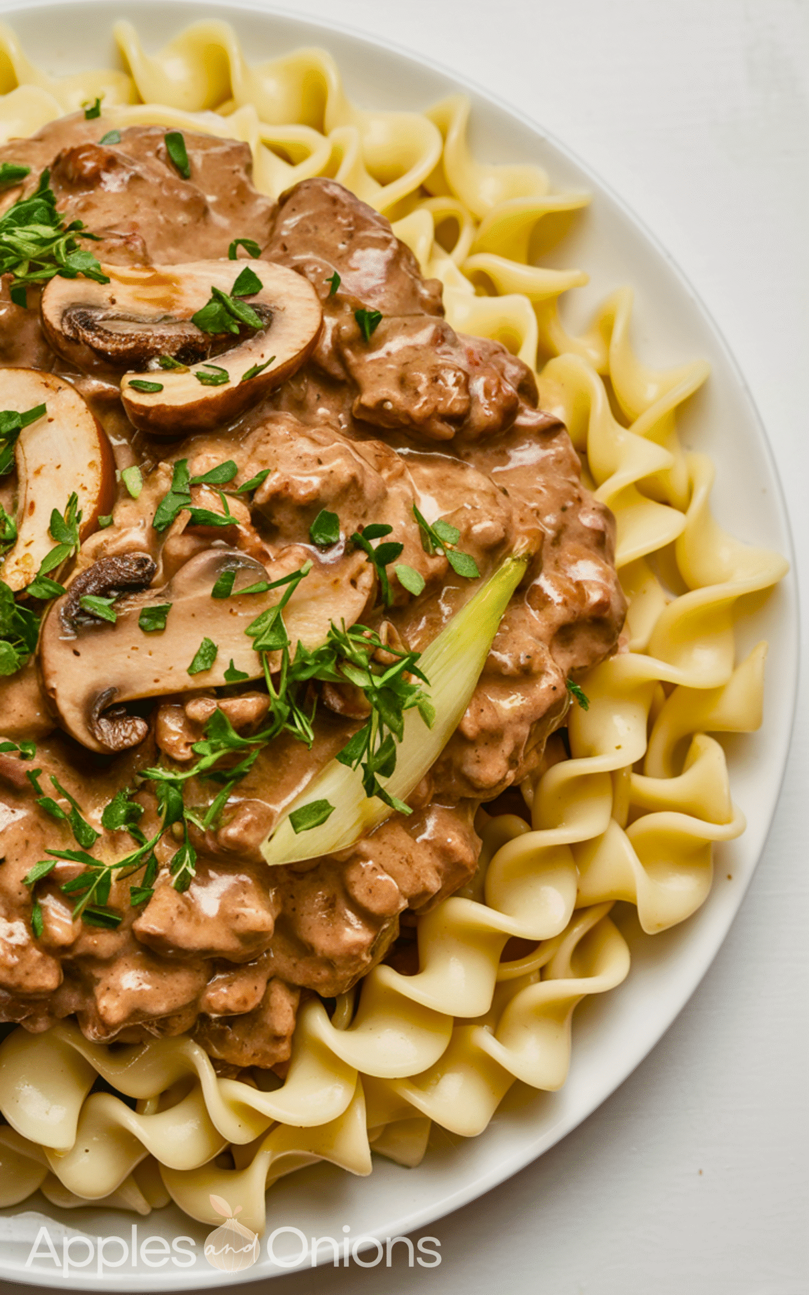 Best Helpful Hamburger Stroganoff