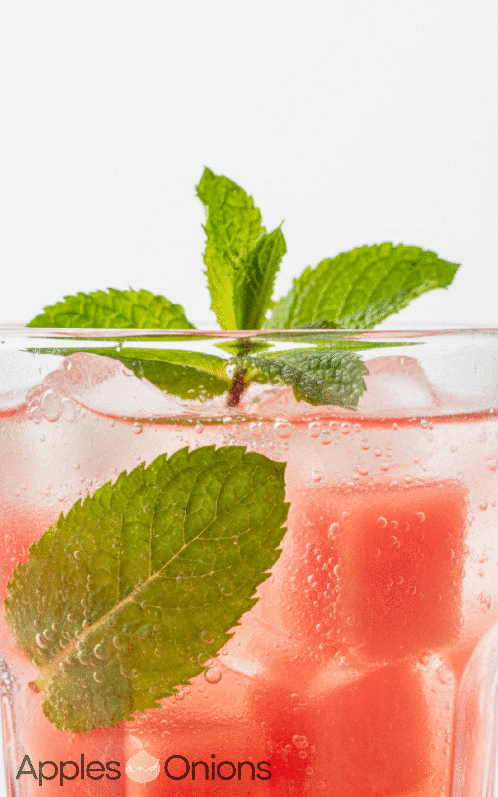 Perfect Tasty Watermelon Mojito Mocktail
