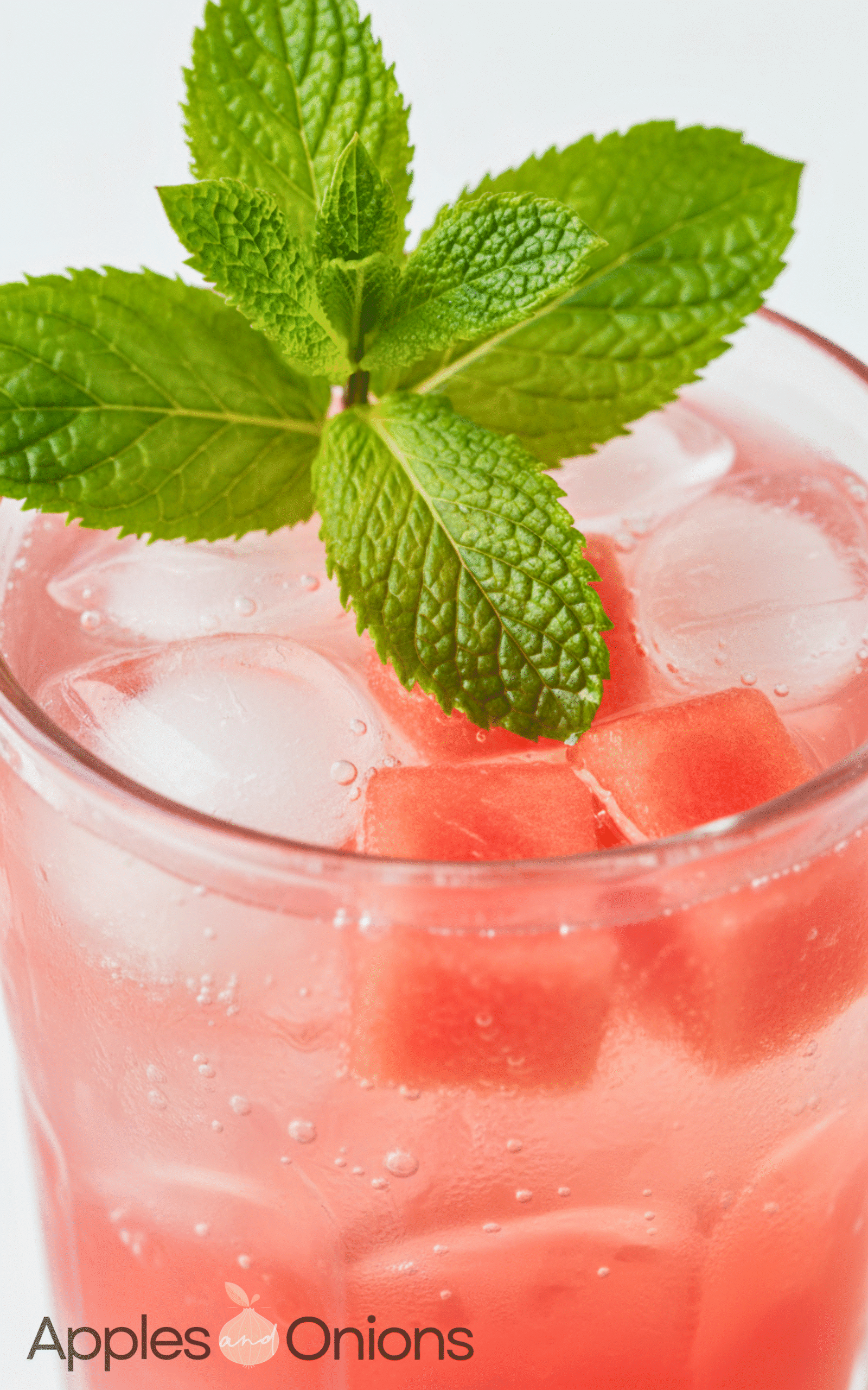 Perfect Tasty Watermelon Mojito Mocktail