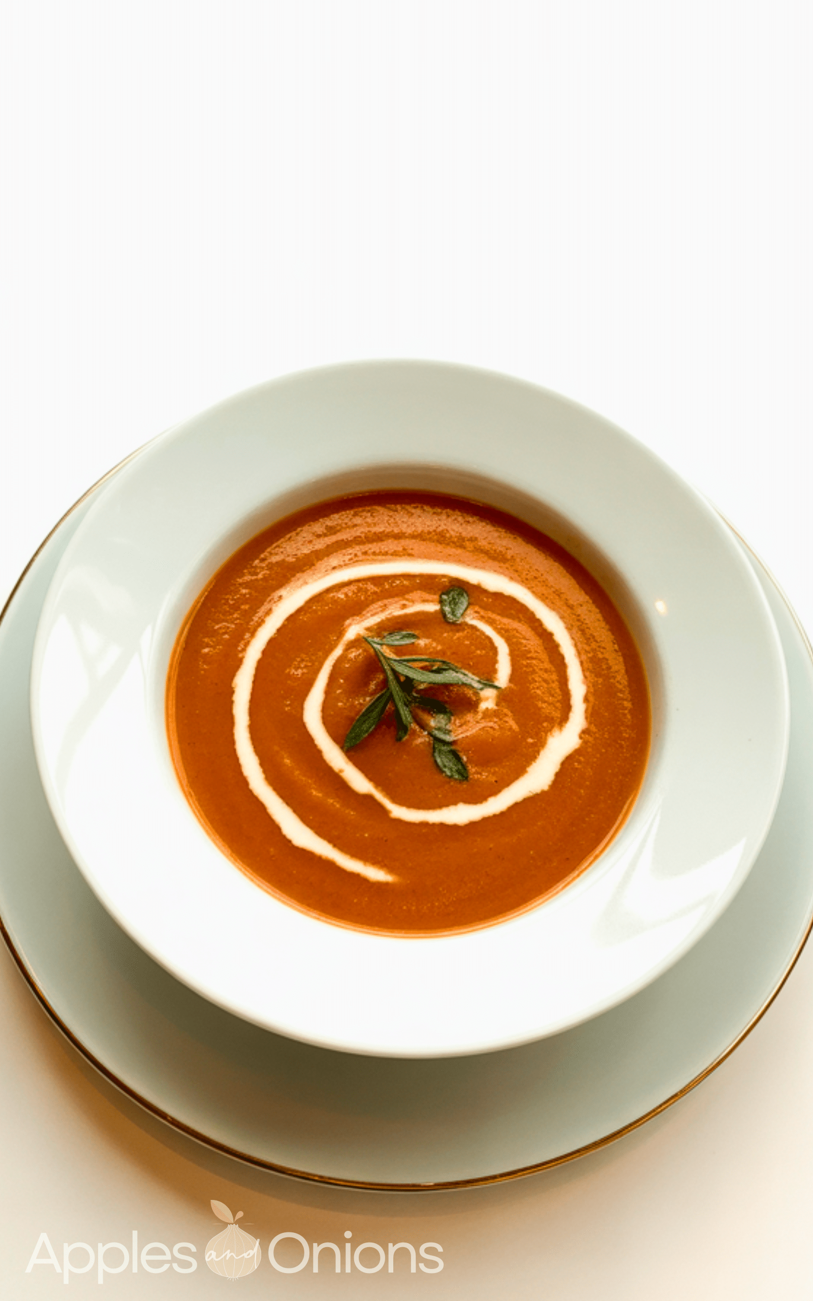 Best Copycat Panera Tomato Bisque Soup Recipe